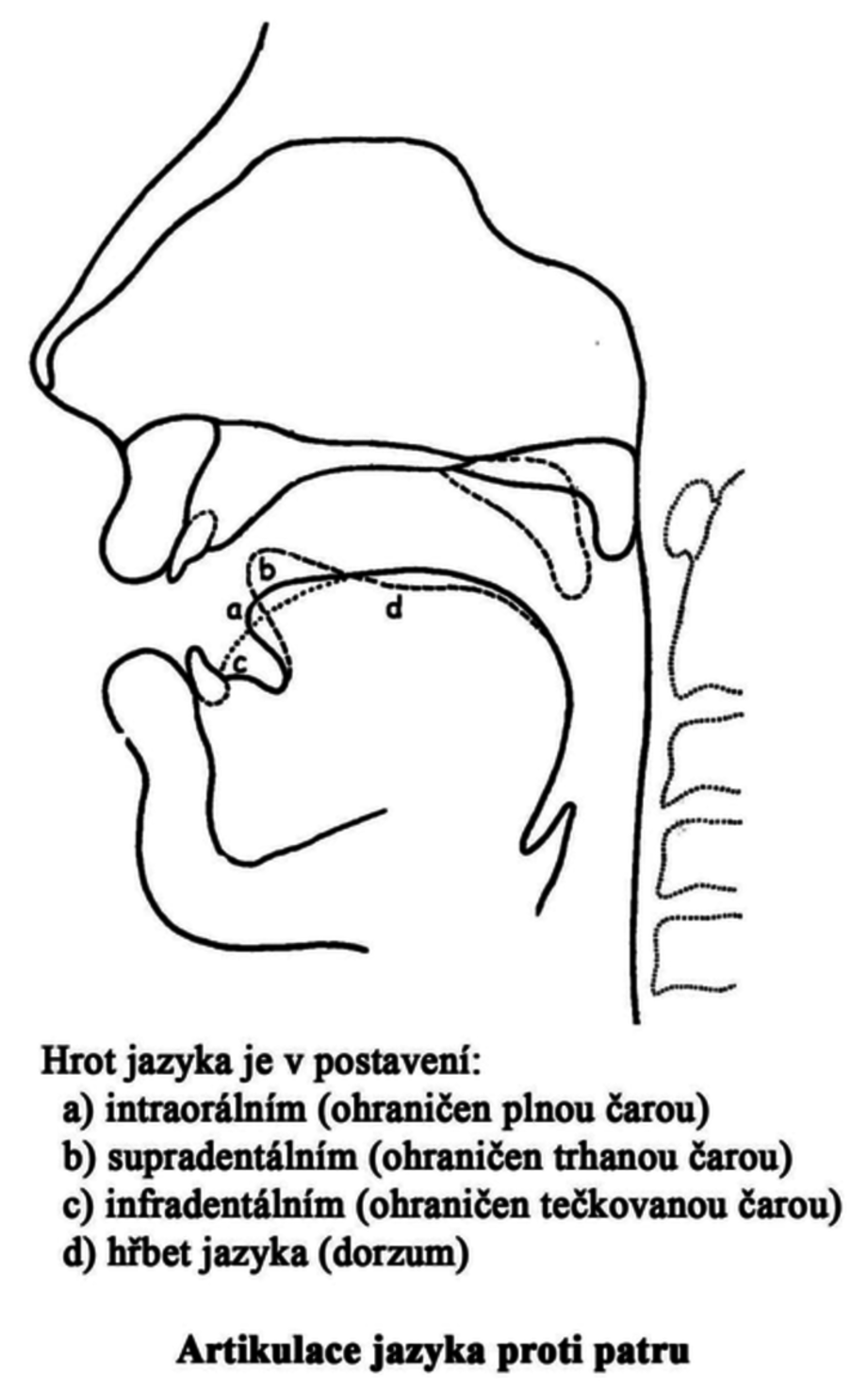 Co to je artikulace?